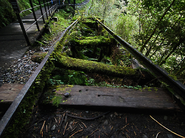 太平山｜見晴古道_11