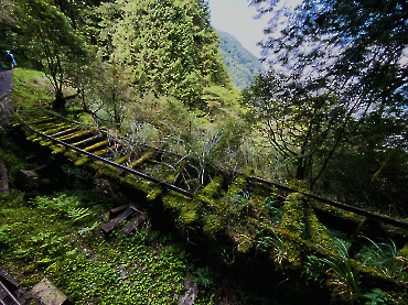 太平山｜見晴古道_12