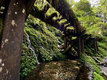 太平山｜見晴古道_15