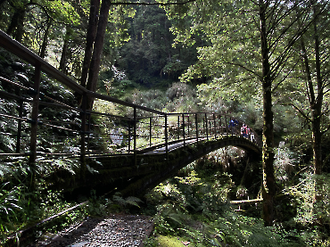 太平山｜見晴古道_16