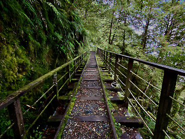 太平山｜見晴古道_18