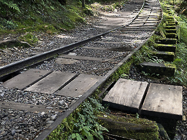 太平山｜見晴古道_6